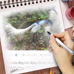 Meet your Posher, Hoang